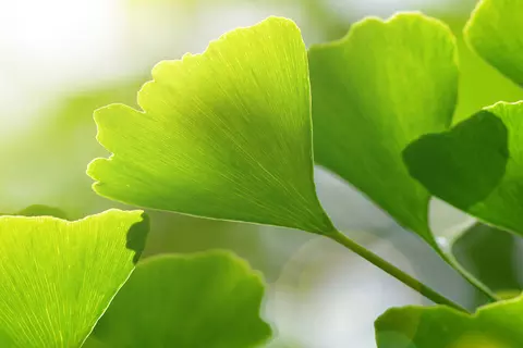 adobestock_161474526_header