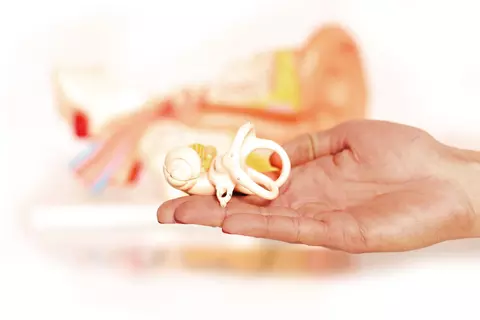 Hand mit Gehörschnecke