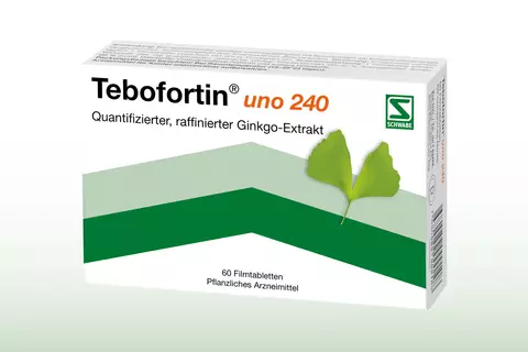 Packshot Tebofortin - Vergesslichkeit und Konzentrationsschwierigkeiten