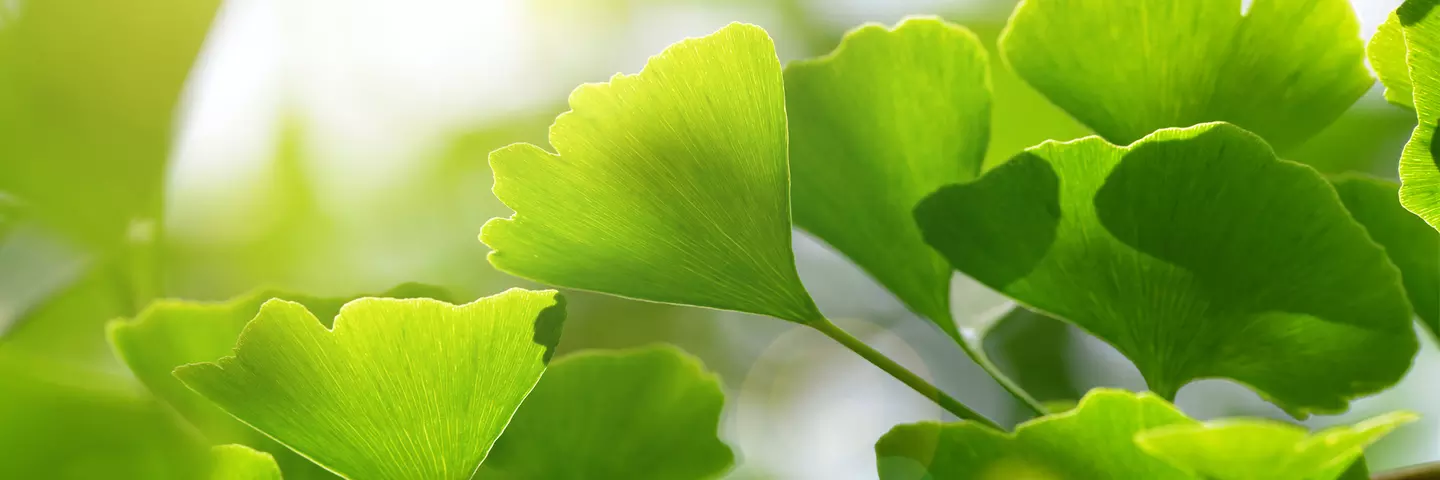 adobestock_161474526_header