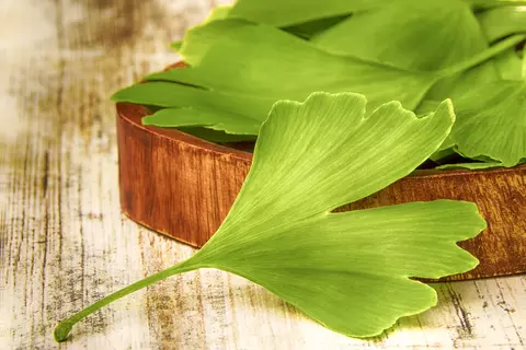Grüne Ginkgo Blätter auf brauner Holzflläche